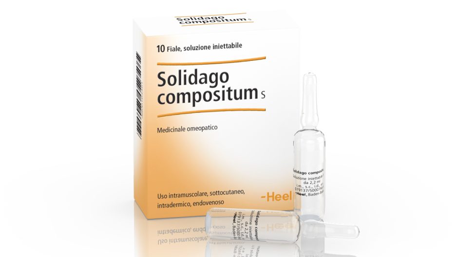 Solidago compositum S
