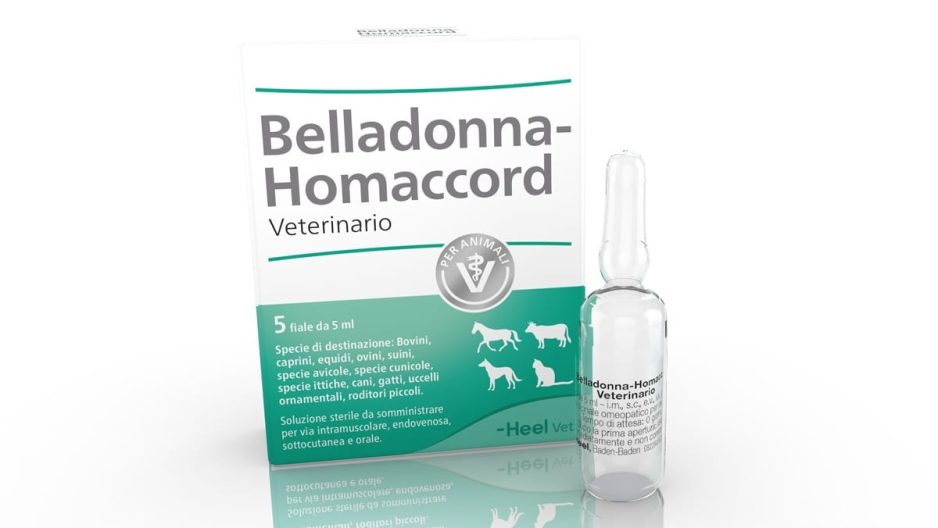 Belladonna-Homaccord Veterinario