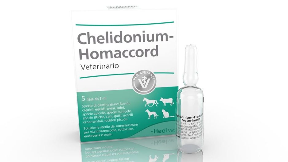 Chelidonium-Homaccord Veterinario