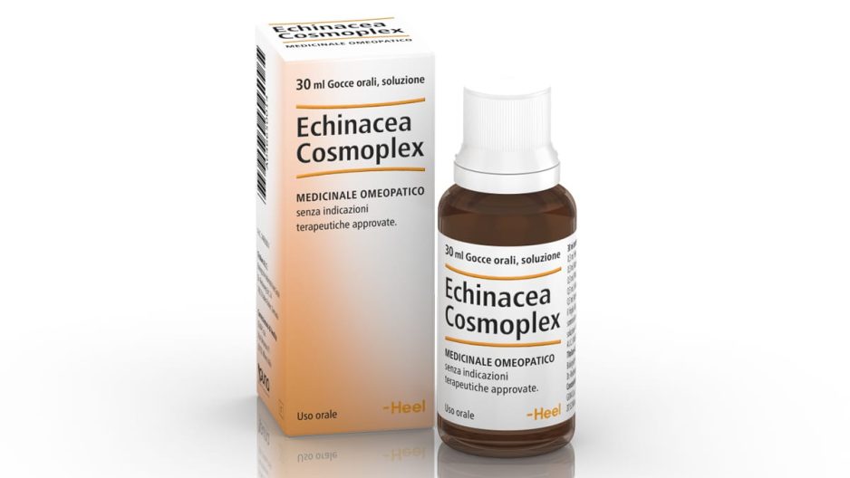 Echinacea Cosmoplex