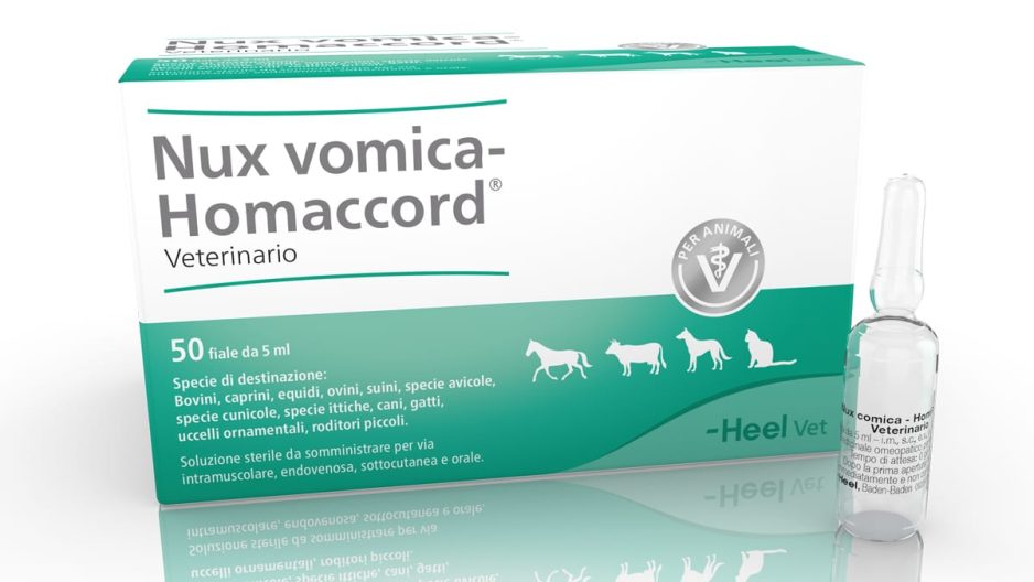 Nux vomica-Homaccord® Veterinario