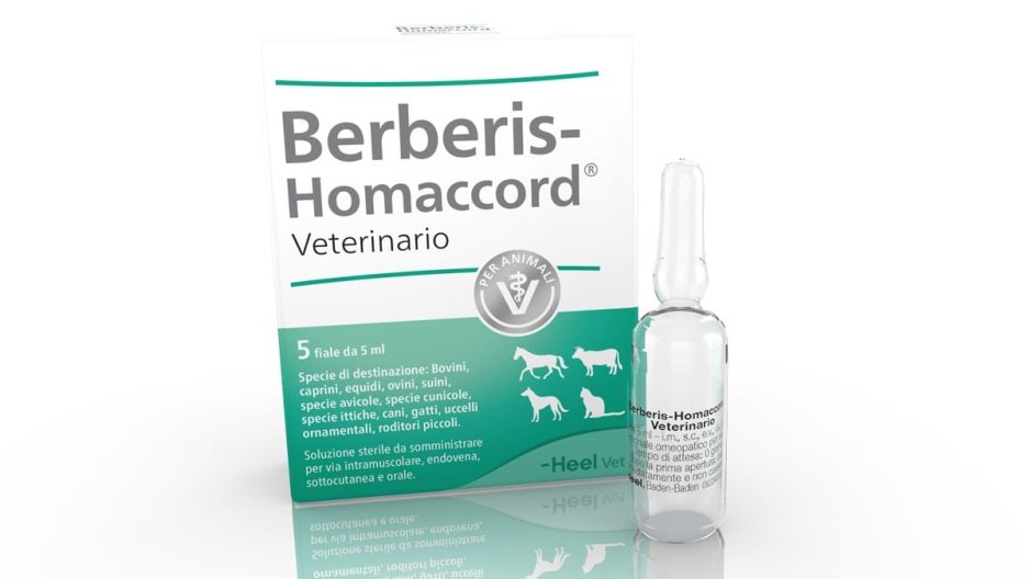 Berberis-Homaccord® Veterinario