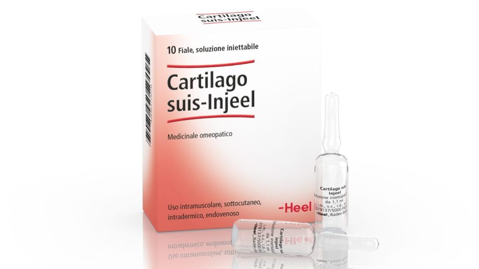 Cartilago suis-Injeel