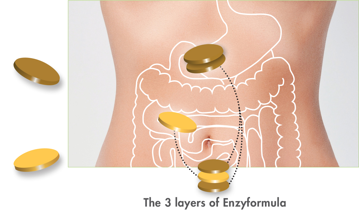 Enzyformula layers